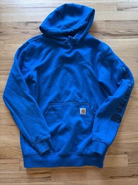 Carhartt Royal Blue Pullover Hoodie with Logo Sleeve